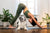 Puppy Yoga UK: A Guide to Responsible Dog Interaction in Yoga